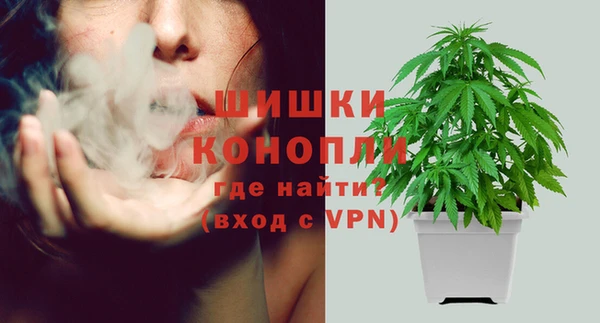 apvp Володарск
