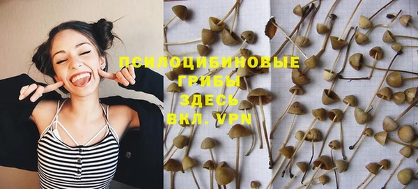 apvp Володарск
