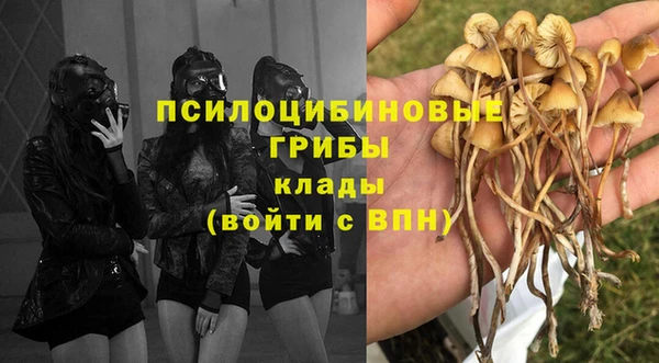 apvp Володарск
