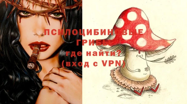 apvp Володарск